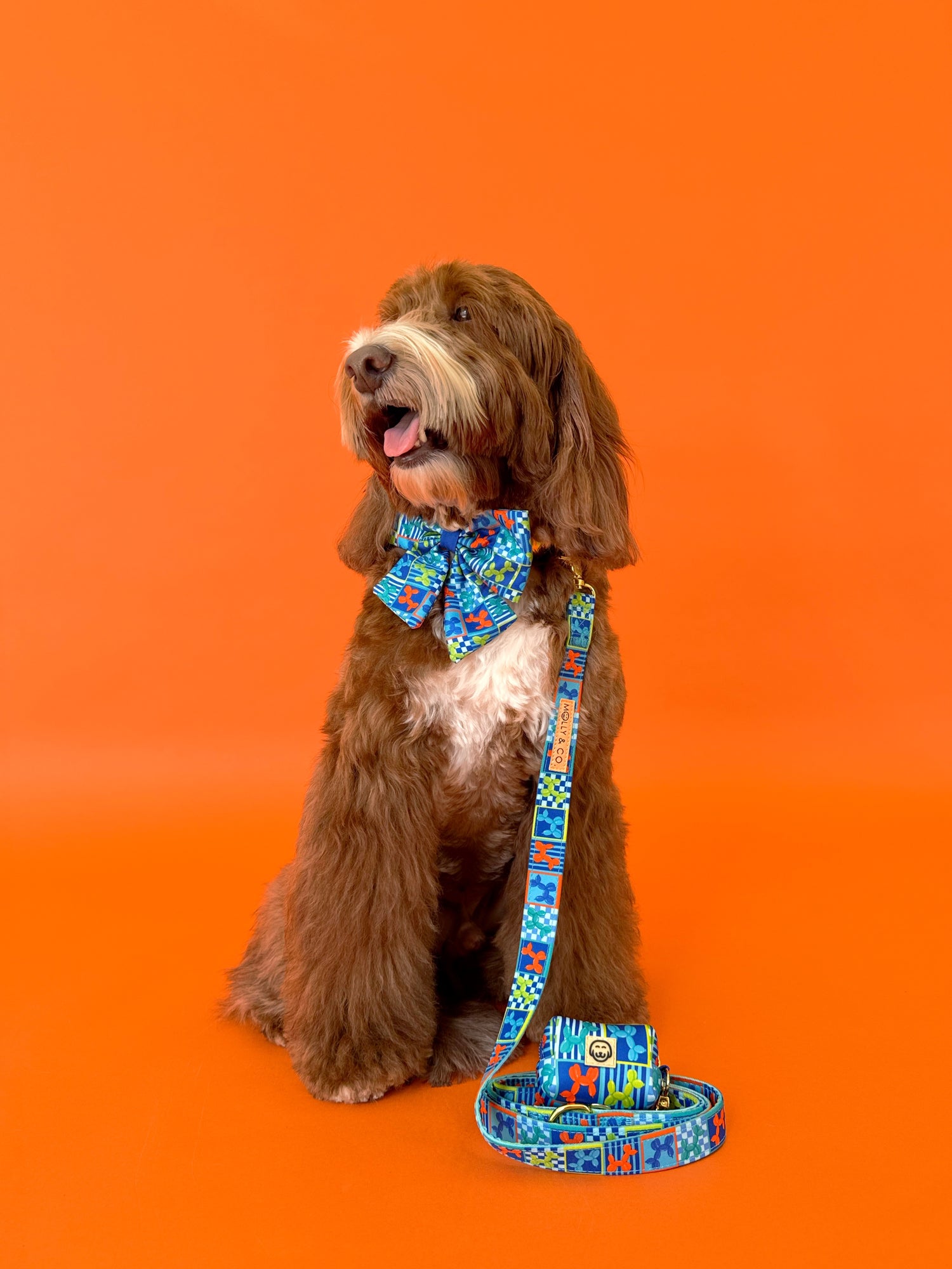 Neon Pop - Dog Leash