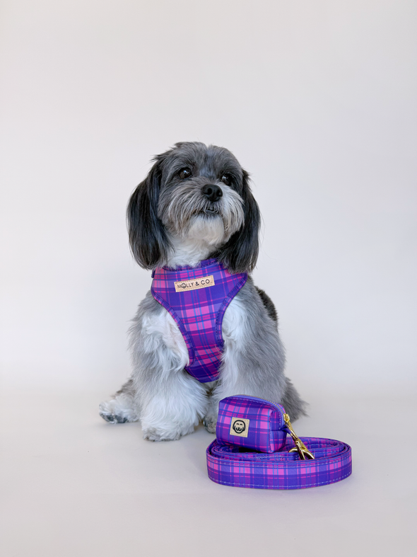 Pinkberry Plaid - Adjustable Dog Harness