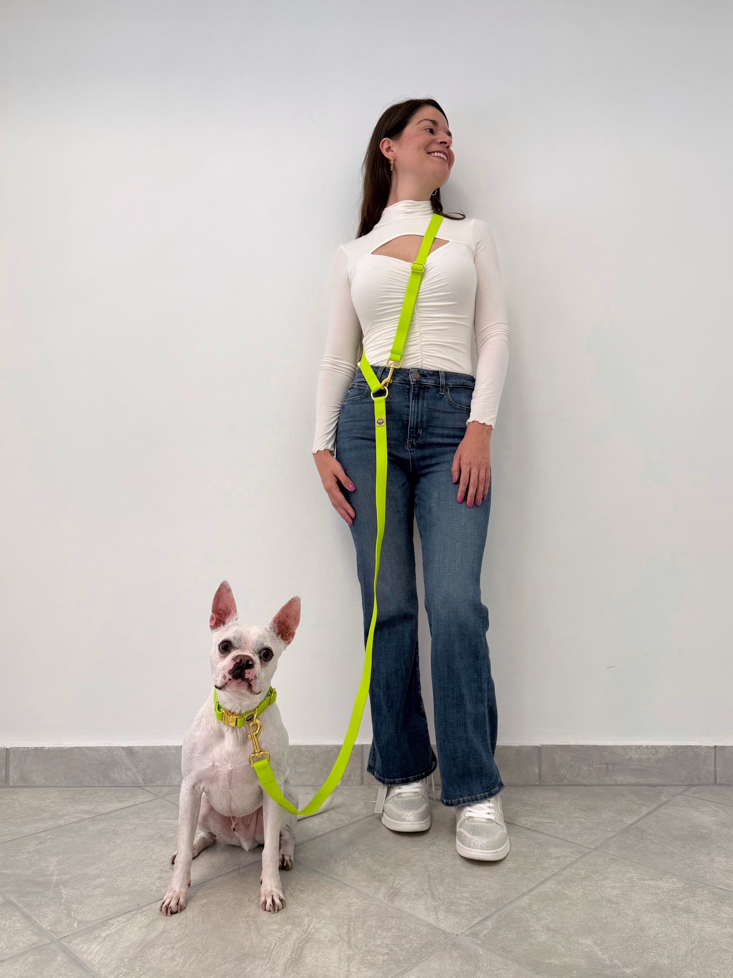 Glowstick - Splashproof Handsfree Dog Leash