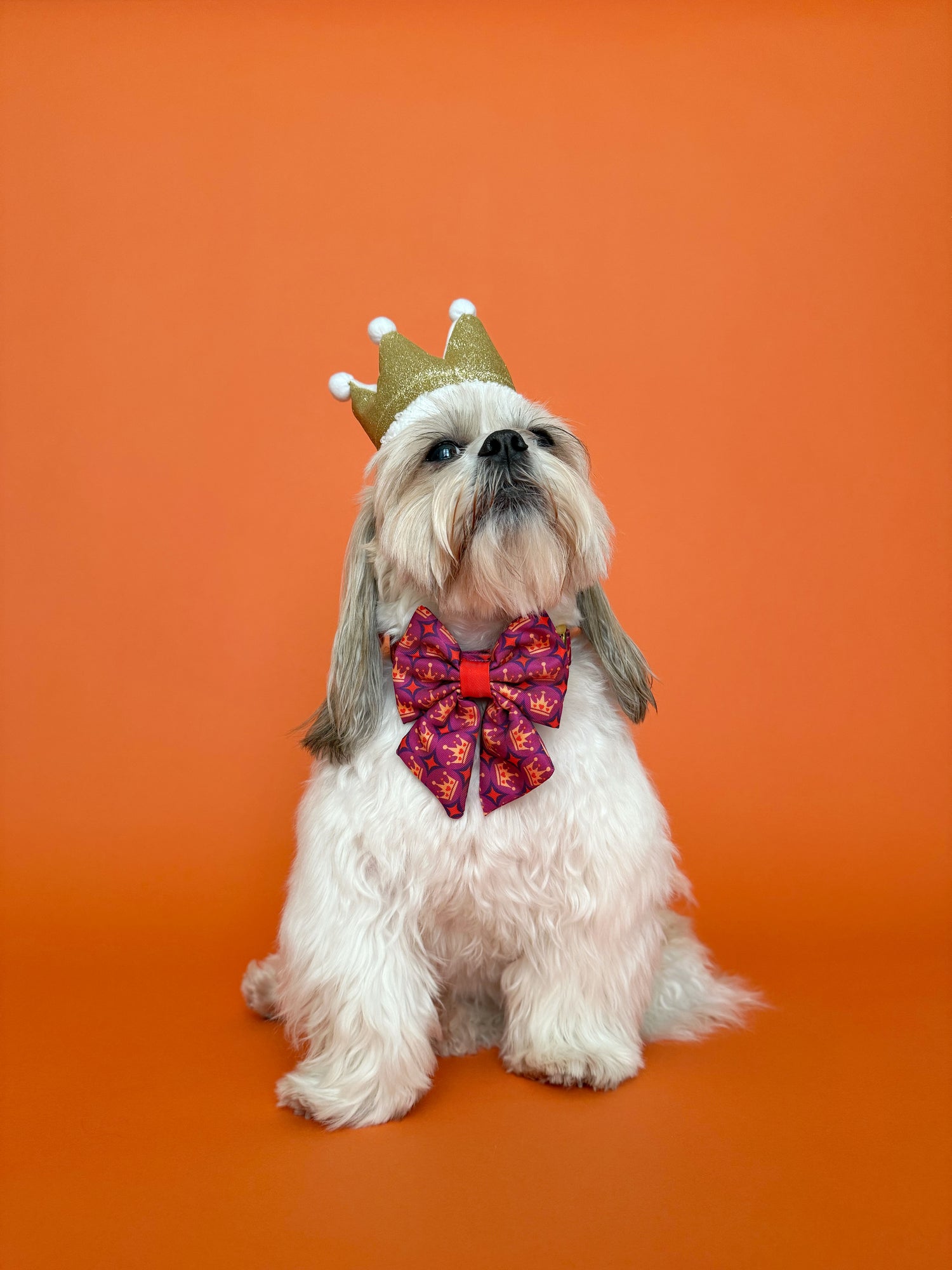 Royal Queen - Dog Sailor Bowtie