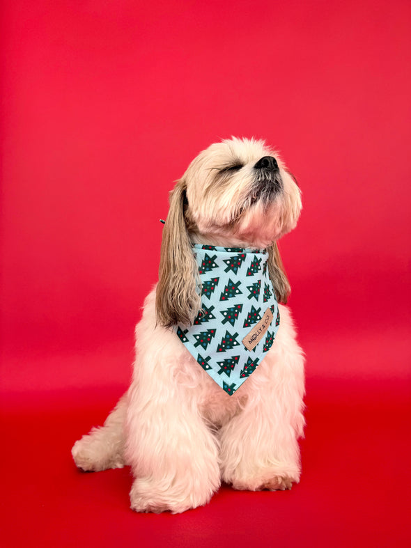 Northern Lights + Deck the Halls - Reversible Dog Bandana