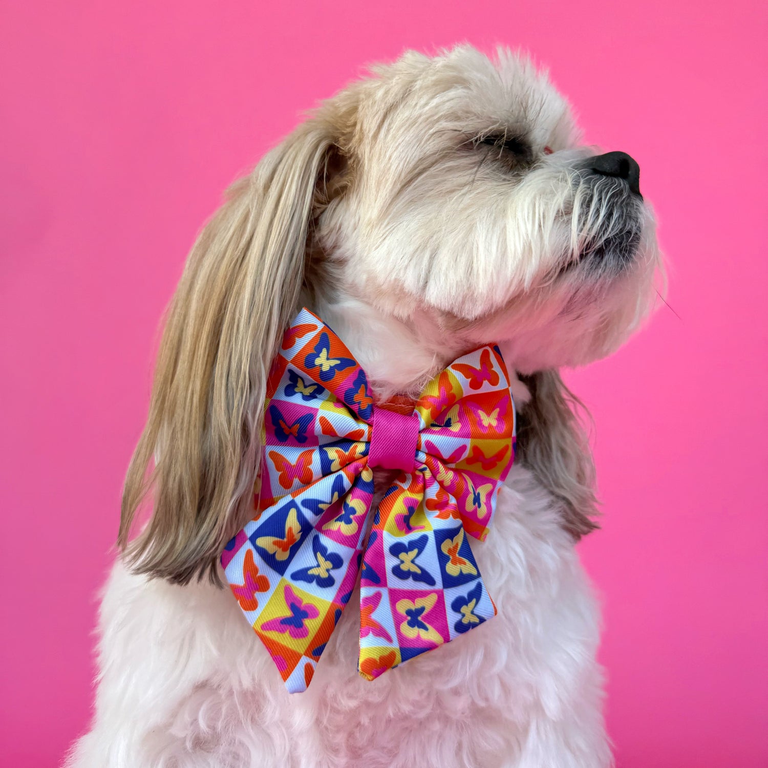 Mariposa - Dog Sailor Bowtie