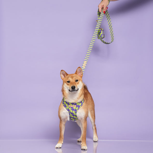 Fetch Master - Adjustable Dog Harness