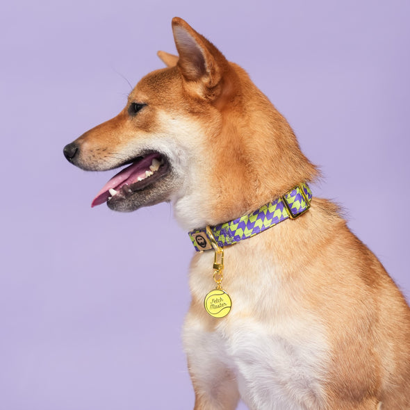 Fetch Master - Collar Charm