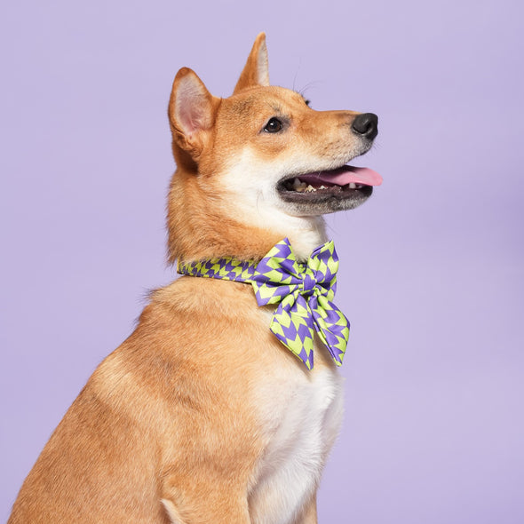 Fetch Master - Dog Sailor Bowtie