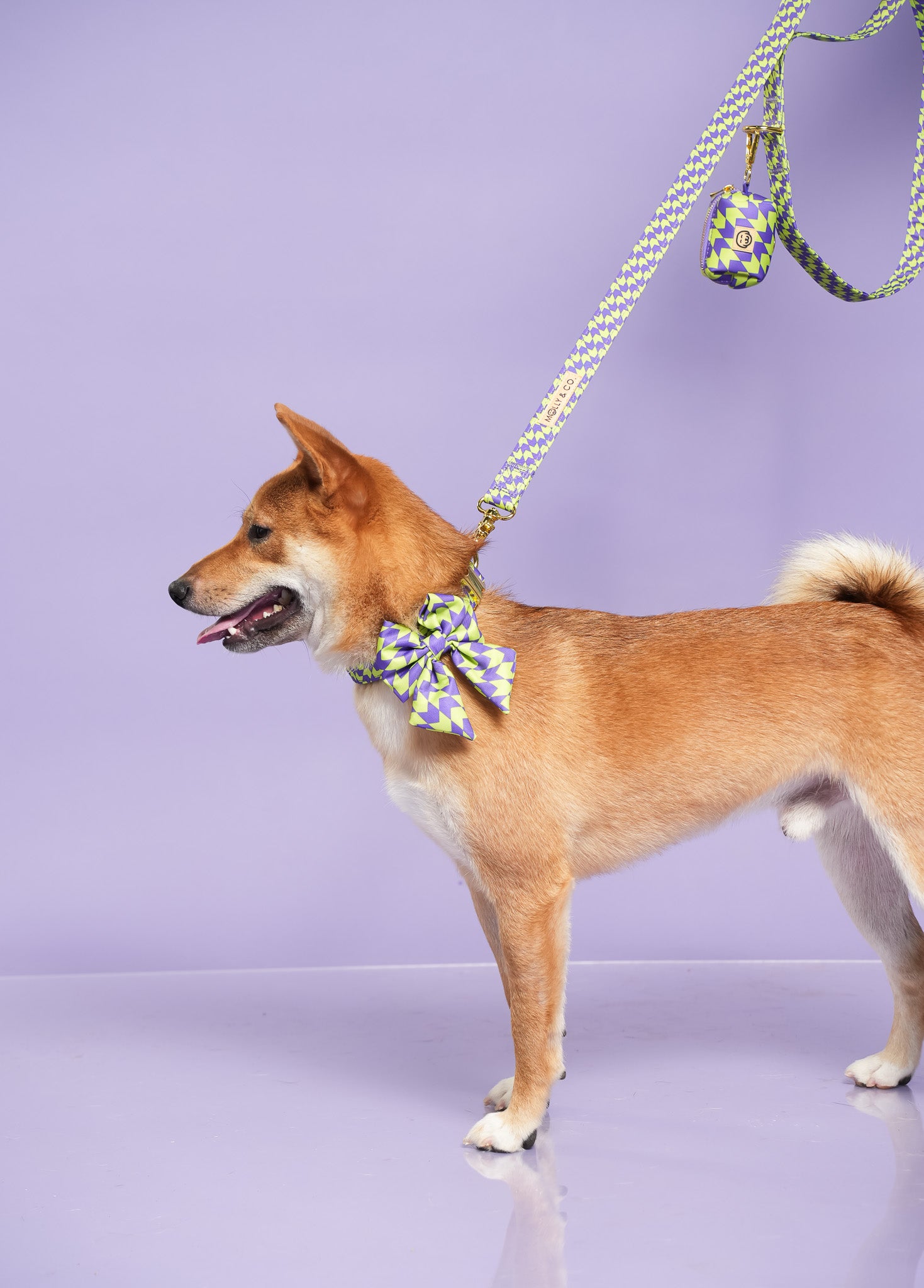 Deluxe Bundle - Fetch Master