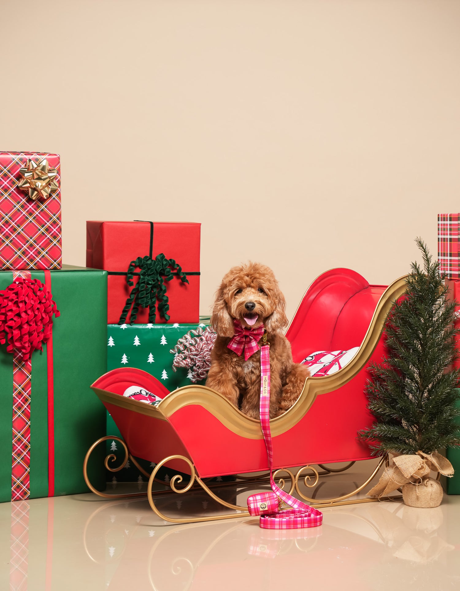 Rosewood Tartan - Dog Poop Bag Holder