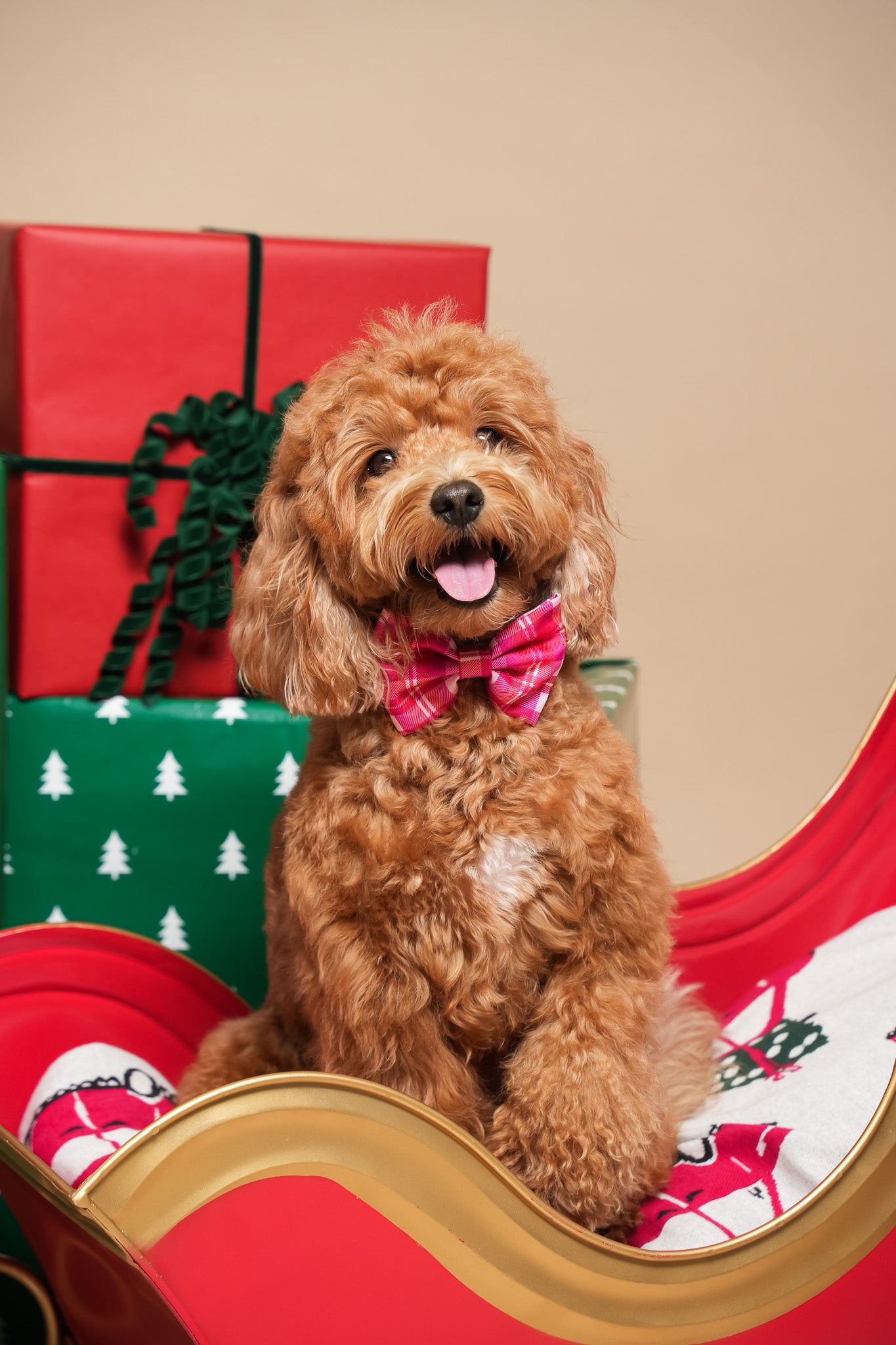 Rosewood Tartan - Dog Bowtie