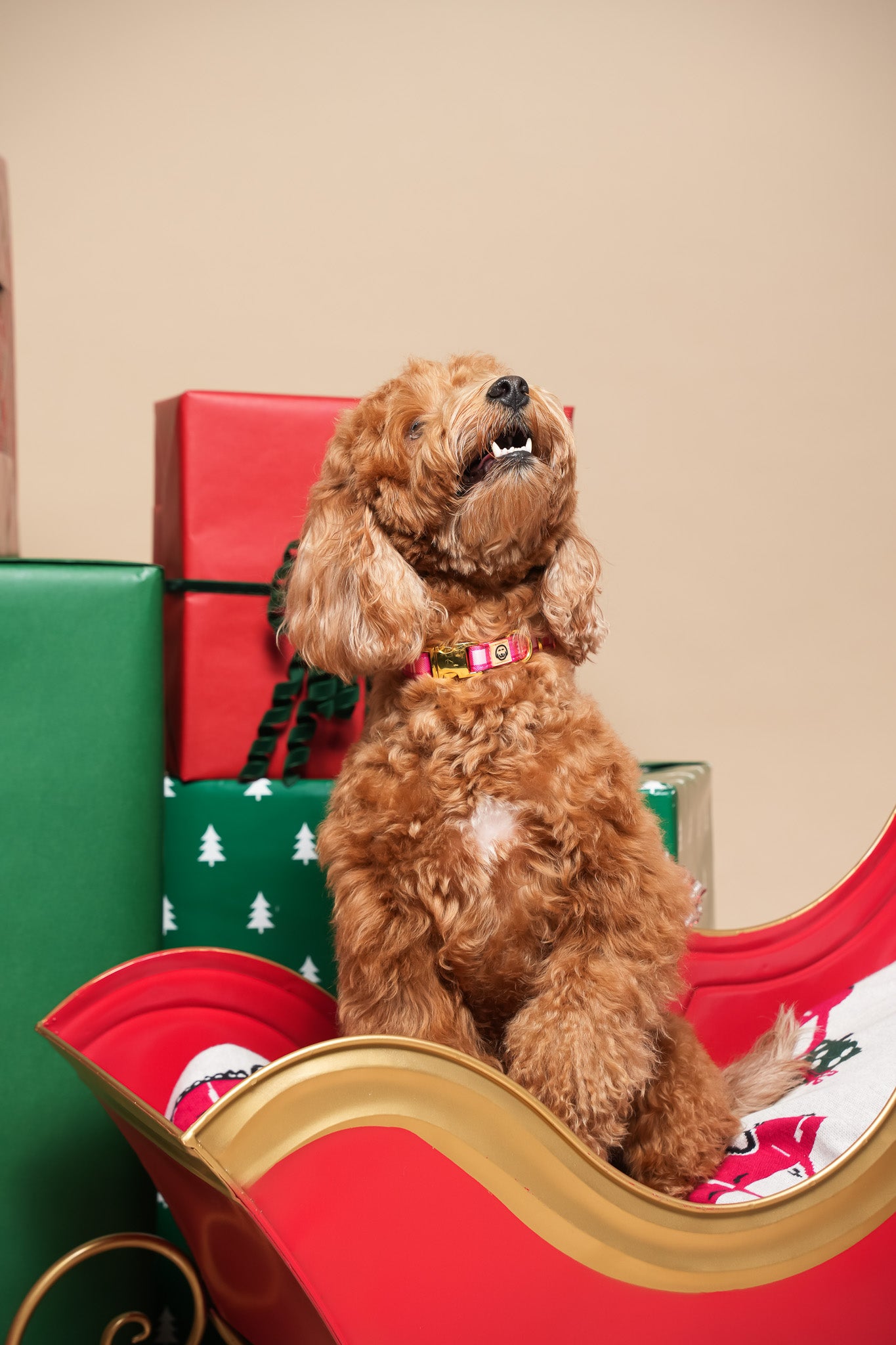 Rosewood Tartan - Dog Collar