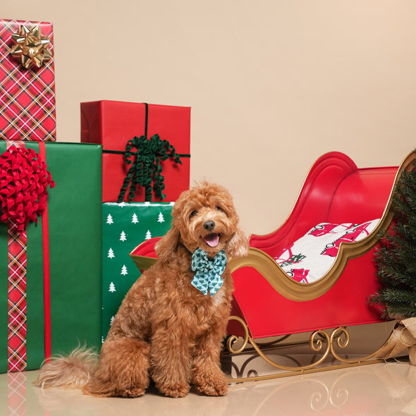 Deck the Halls - Dog Sailor Bowtie