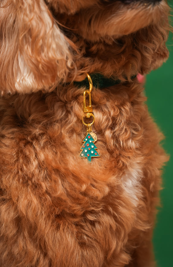 Deck the Halls - Collar Charm