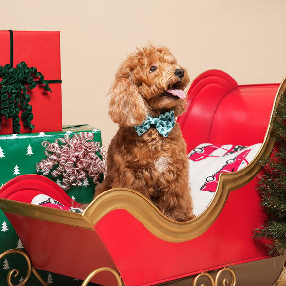 Deck the Halls - Dog Bowtie