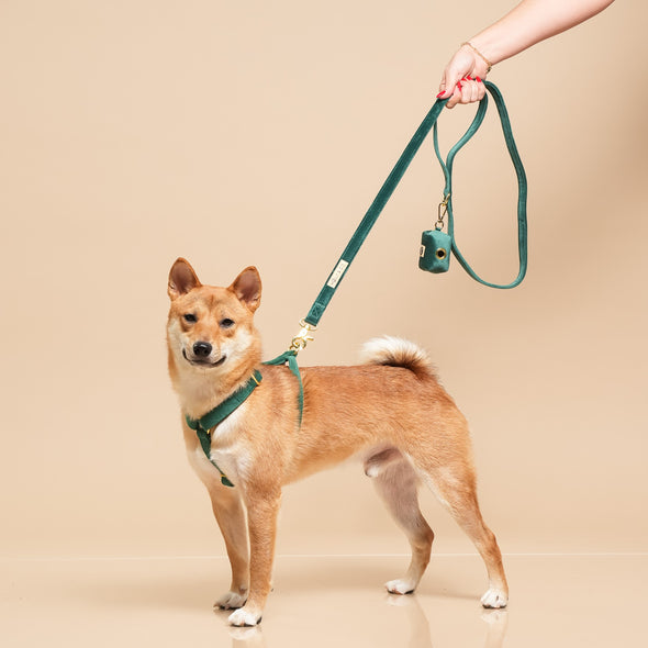 Emerald - Adjustable Strap Dog Harness