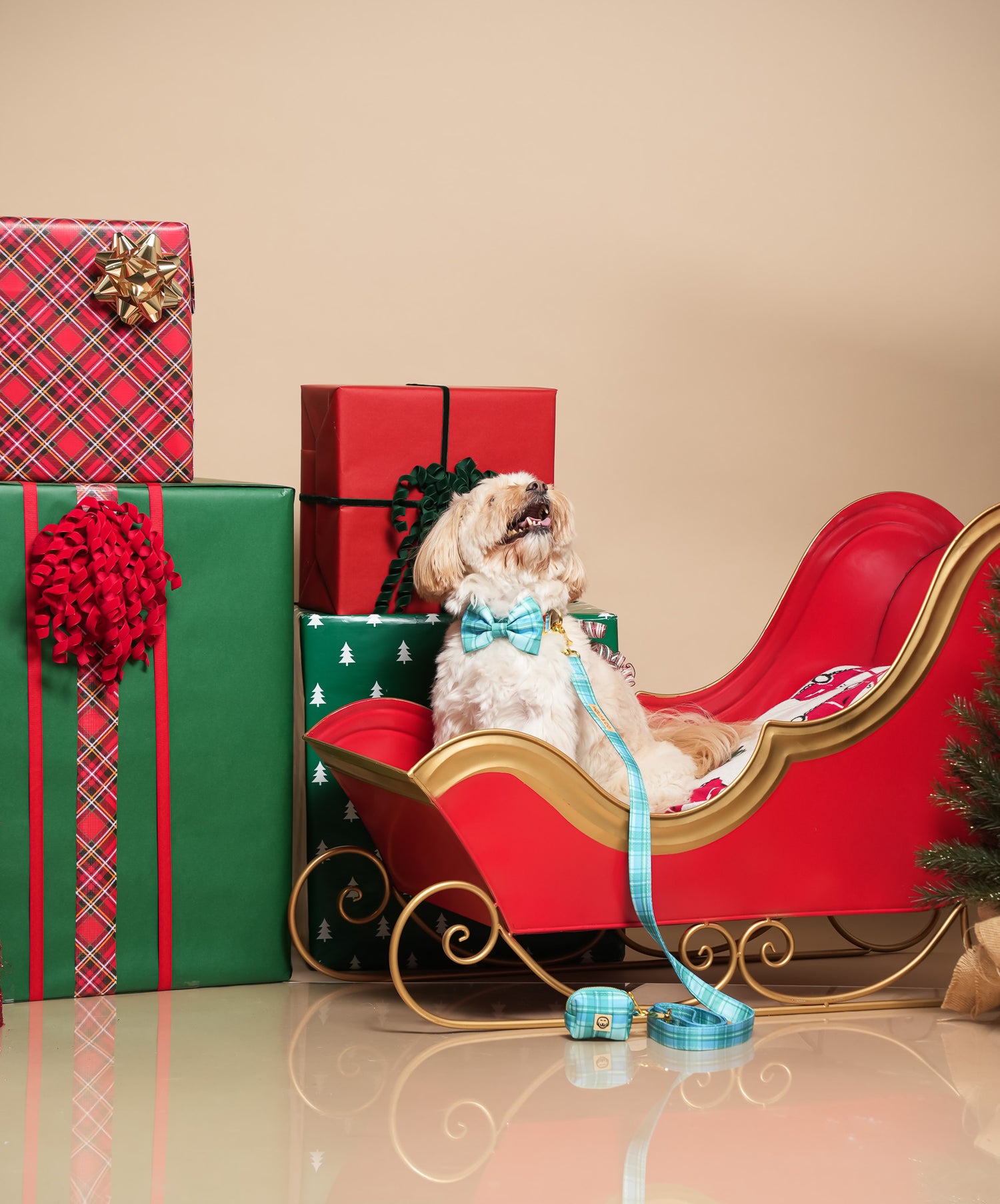 Northern Lights Plaid - Dog Collar