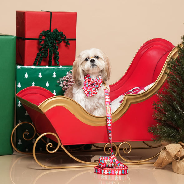 Gingerbread - Dog Sailor Bowtie