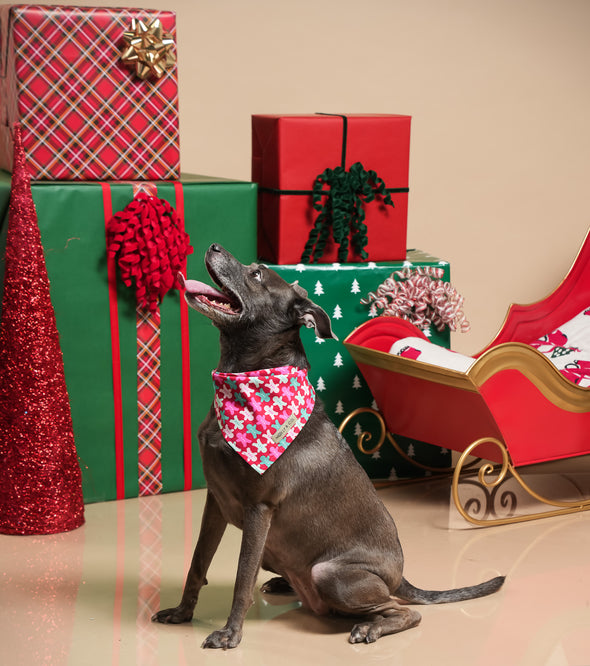 Rosewood Tartan + Gingerbread - Reversible Dog Bandana