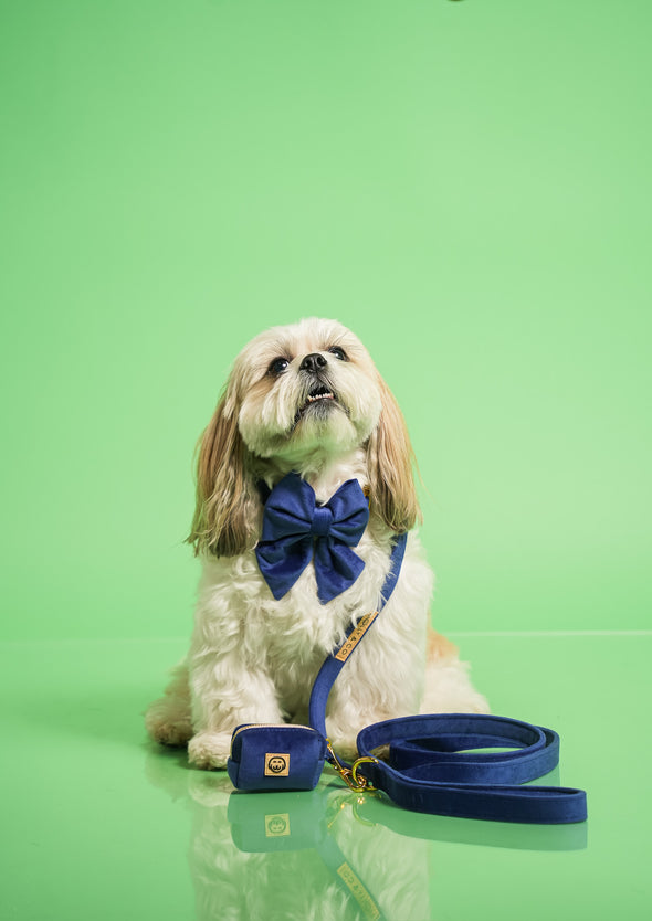 Royal Velvet - Dog Sailor Bowtie