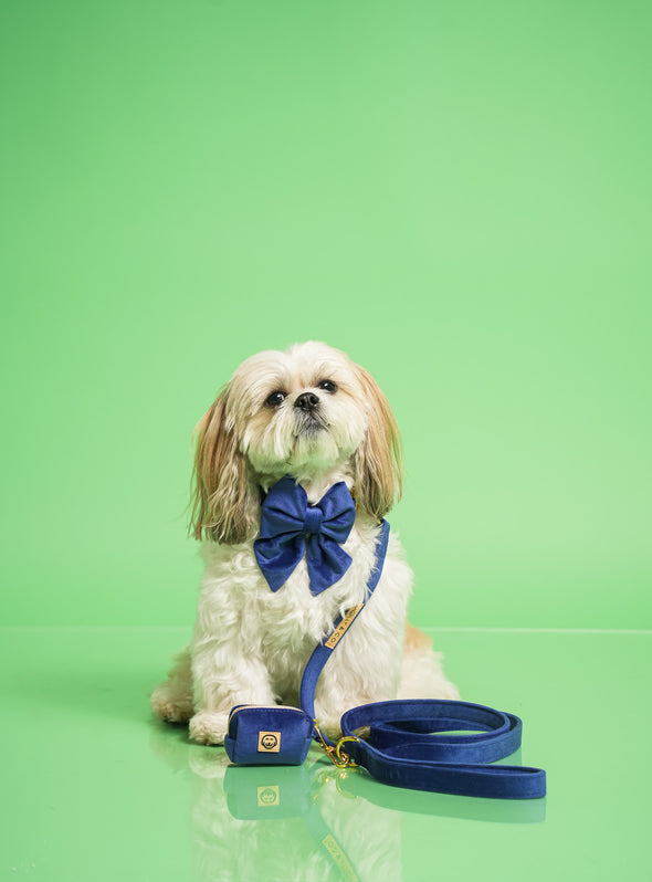 Royal Velvet - Dog Leash