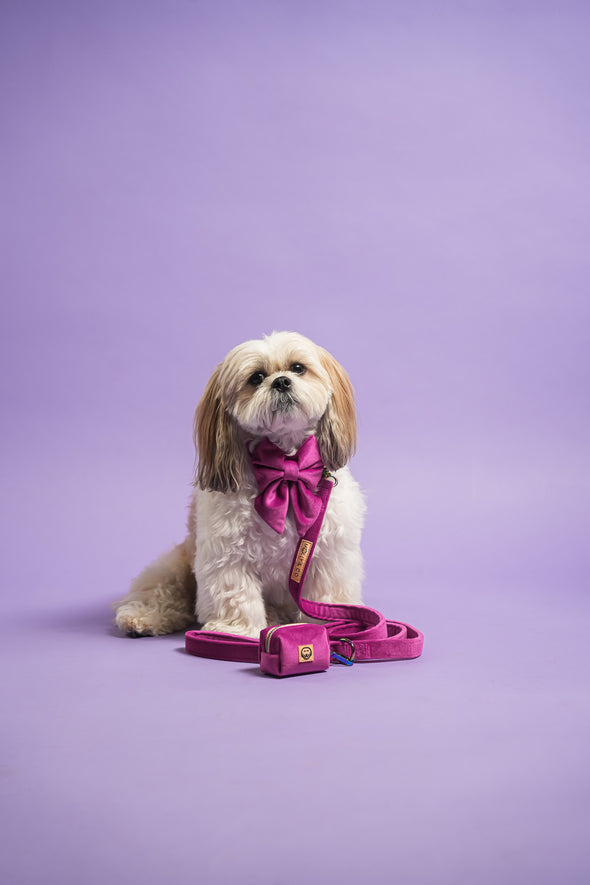 Plum Velvet - Dog Sailor Bowtie