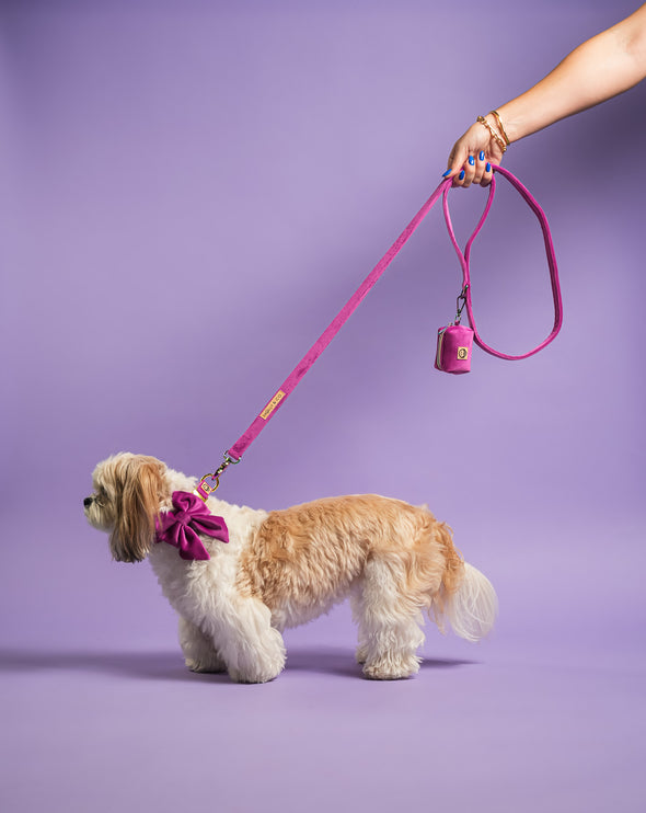 Plum Velvet - Dog Leash