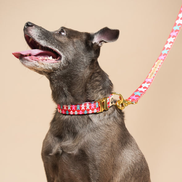 Gingerbread - Dog Collar