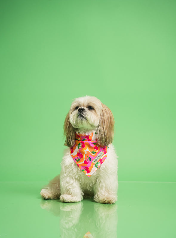 Sweet Cherry - Reversible Dog Bandana