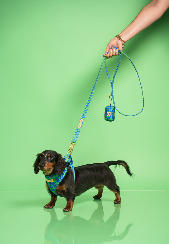 Forest - Dog Leash