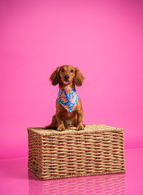 Pizza Lover - Reversible Dog Bandana