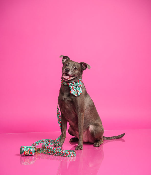 Amore - Dog Sailor Bowtie