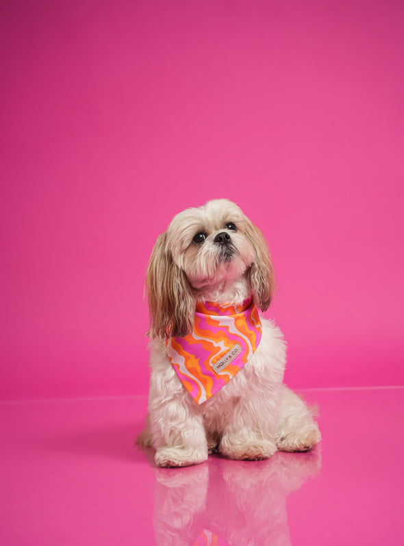 Sweet Cherry - Reversible Dog Bandana