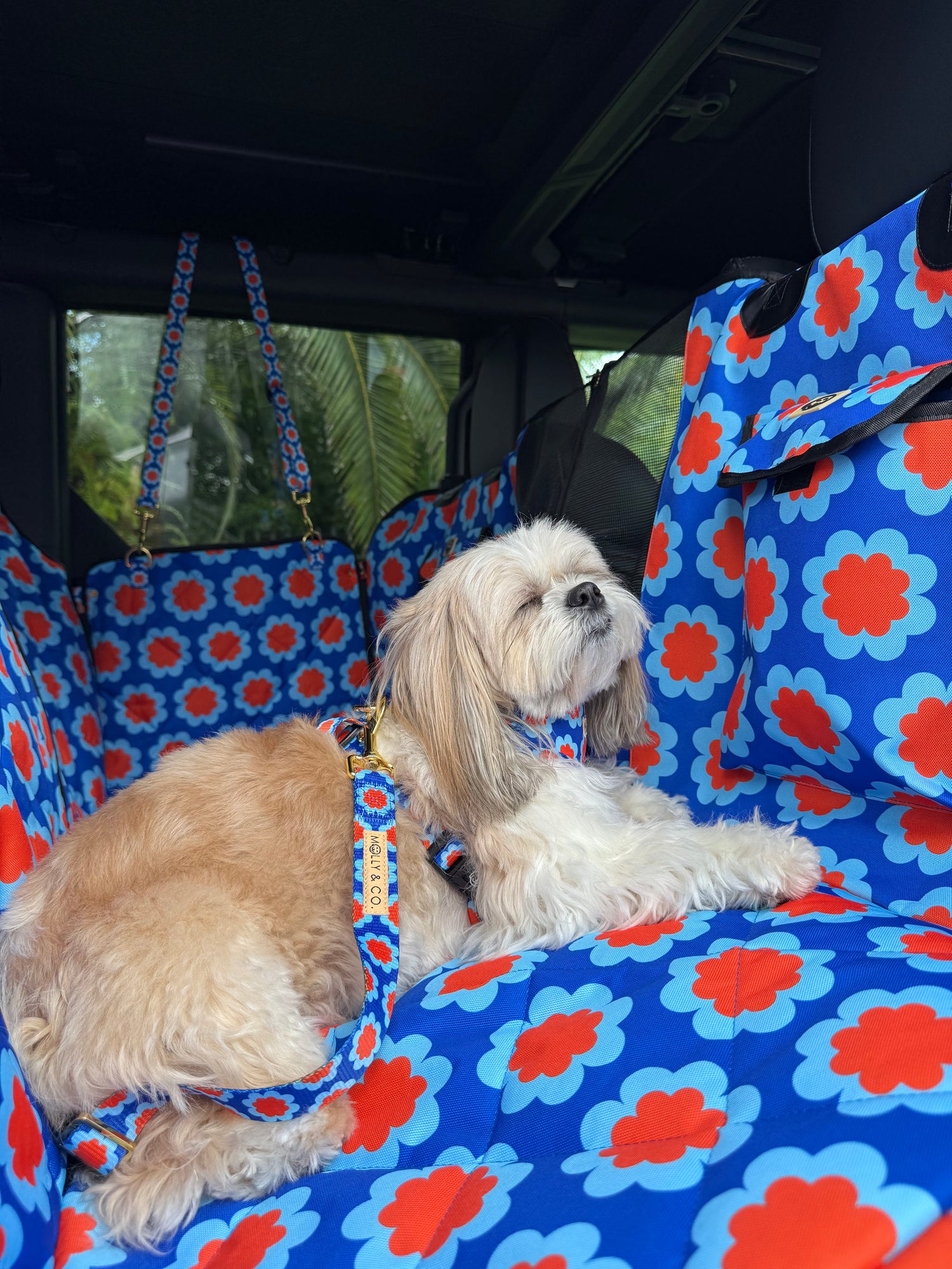 Sorrento - Dog Seatbelt