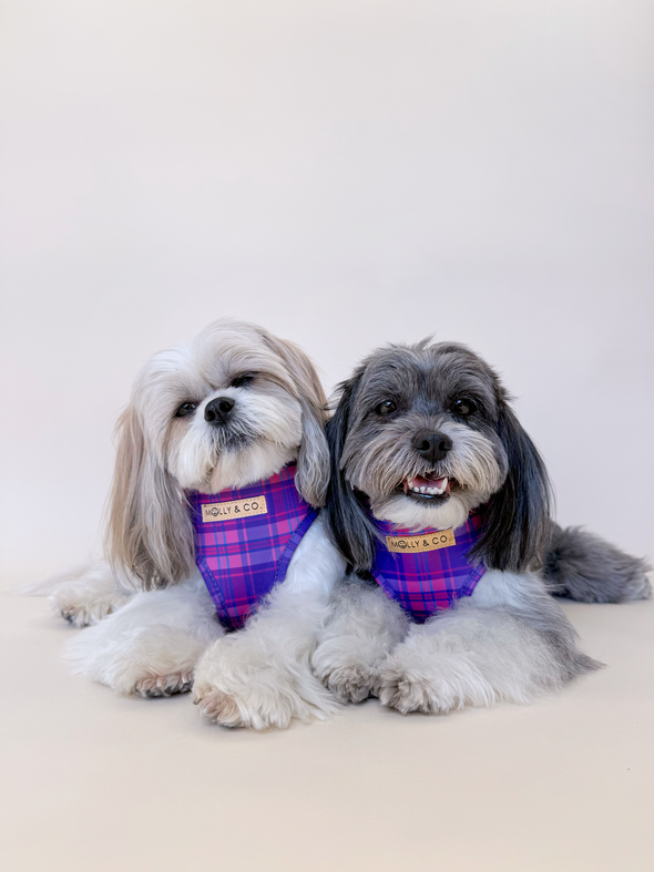 Pinkberry Plaid - Adjustable Dog Harness