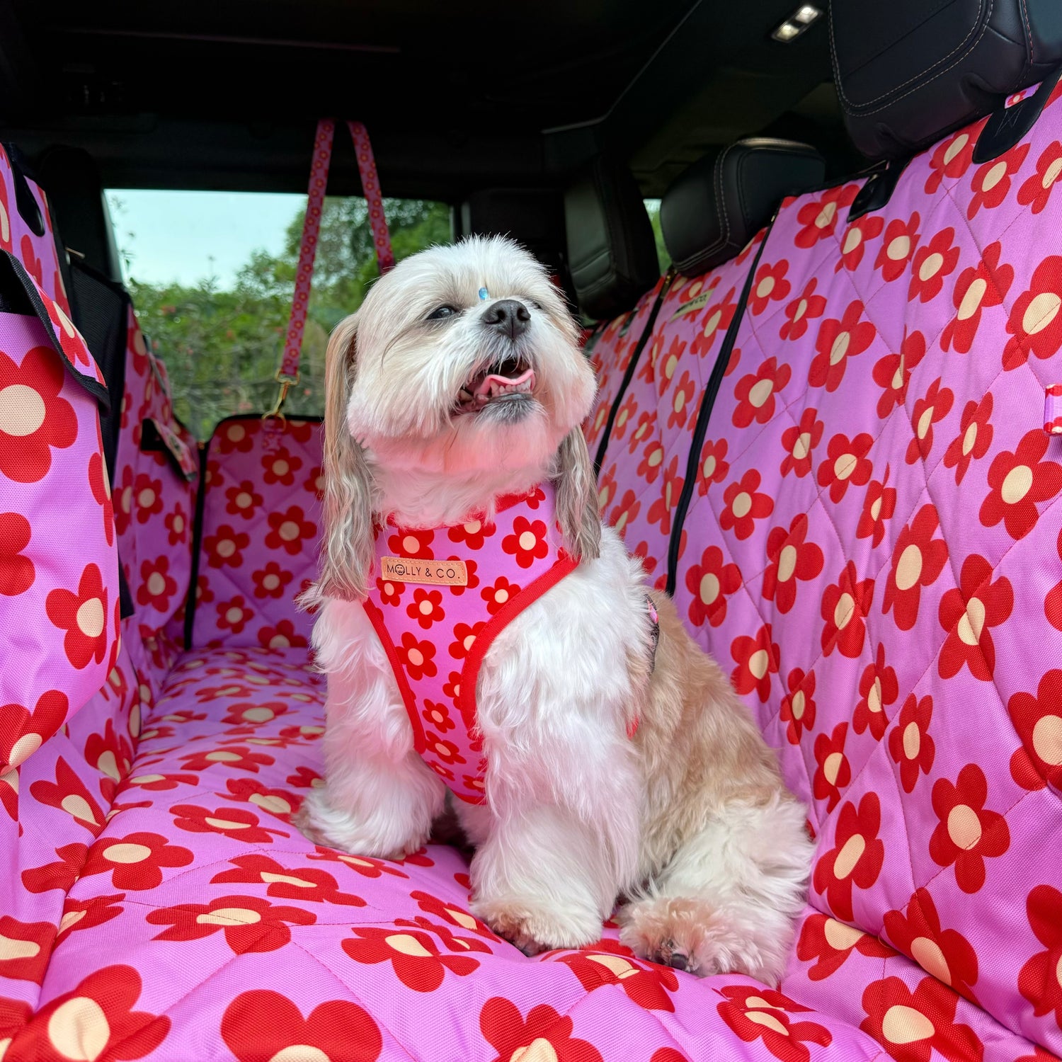 Wildflower - Dog Car Seat Cover