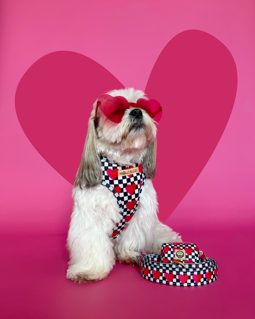 Lovebug - Walking Bundle