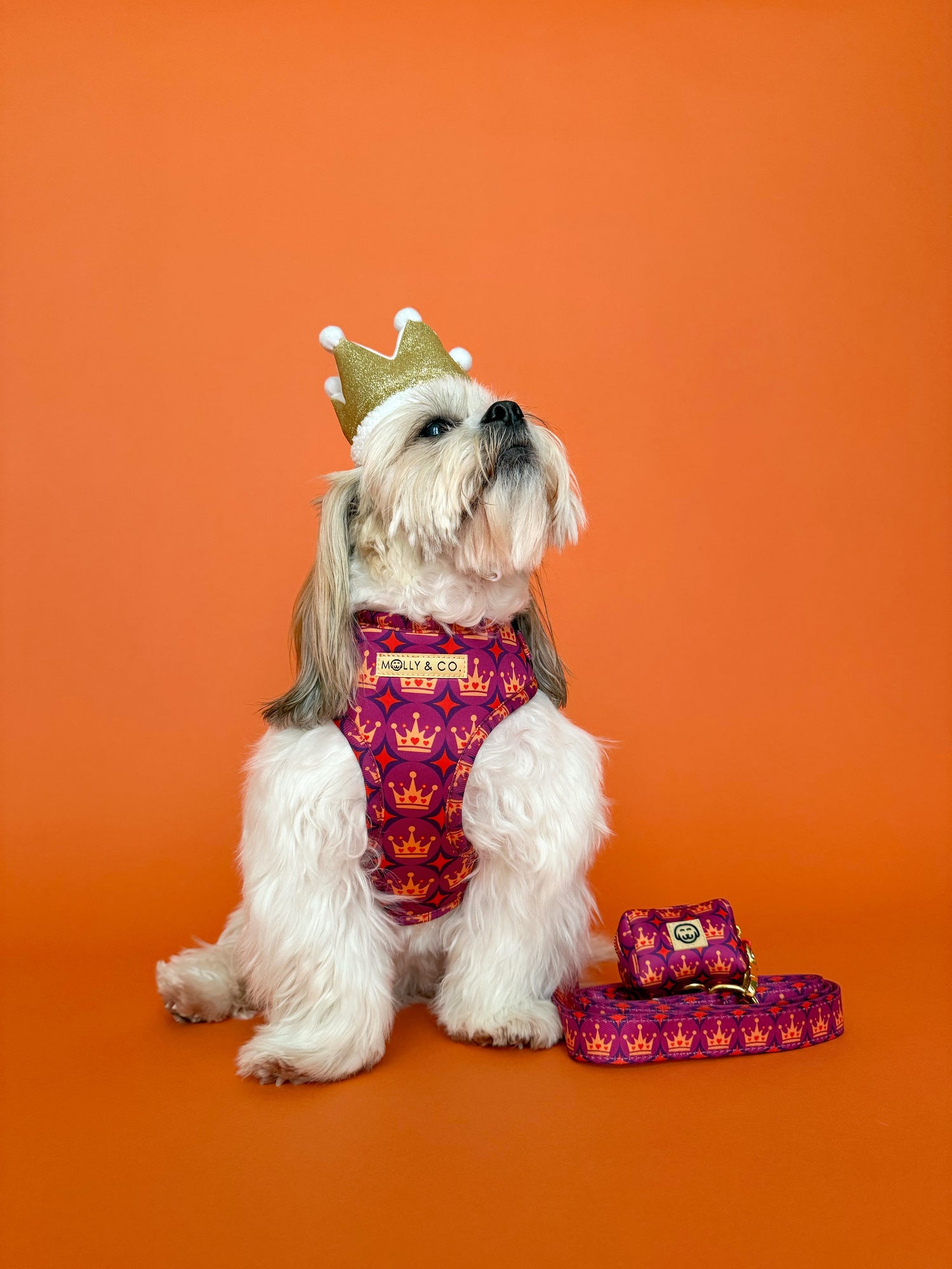 Royal Queen - Walking Bundle