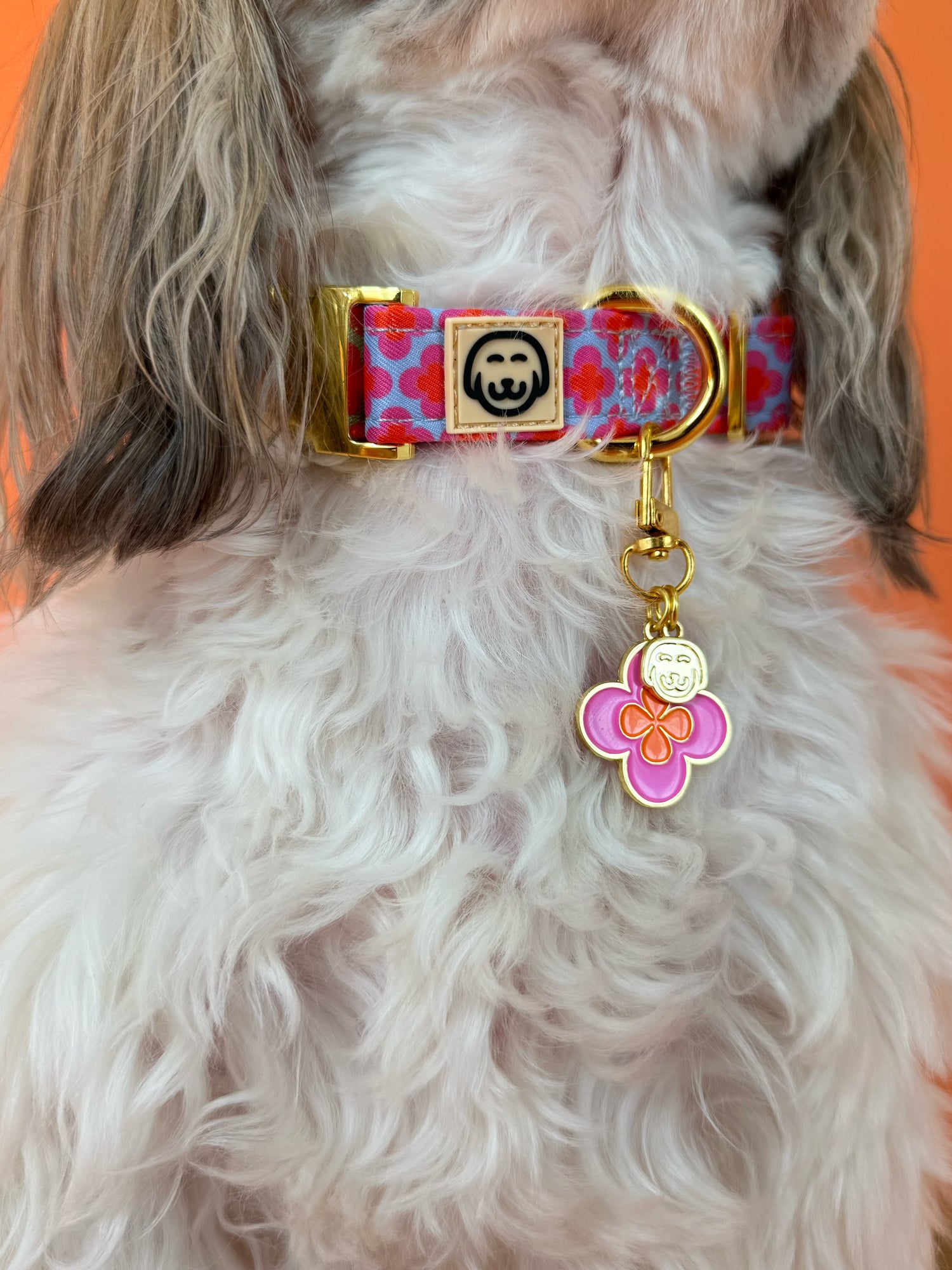 Venezia - Collar Charm