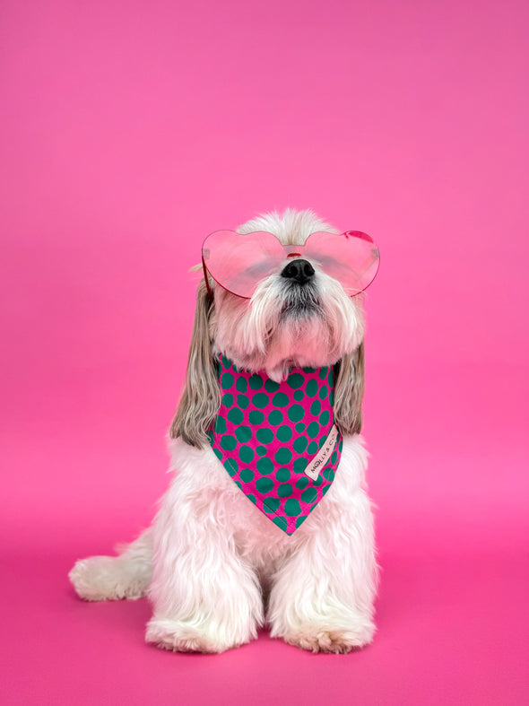 Polka Gogz - Dog Bandana