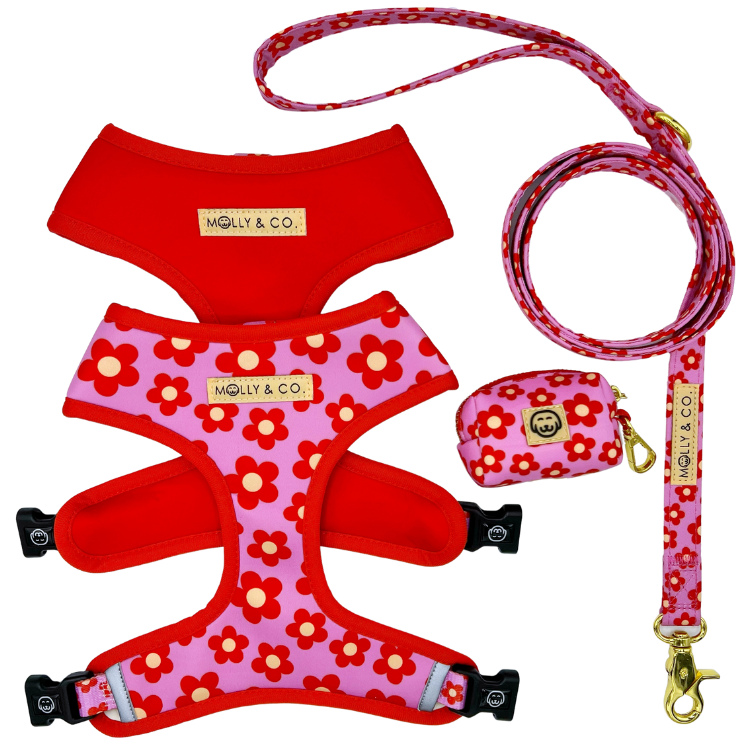 Wildflower - Walking Bundle