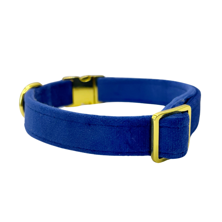 Royal Velvet - Dog Collar