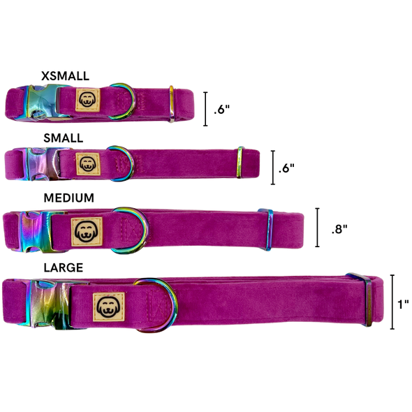 Plum - Dog Collar