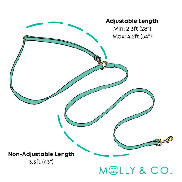 Sand - Splashproof Handsfree Dog Leash