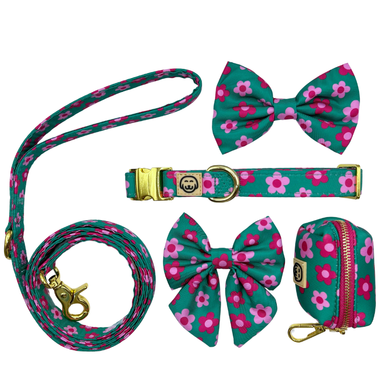 Deluxe Bundle - Petunia