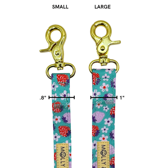 Strawberry - Dog Leash