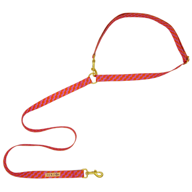 Mango - Handsfree Dog Leash