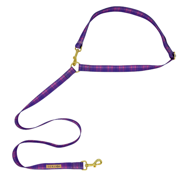 Pinkberry Plaid - Handsfree Dog Leash