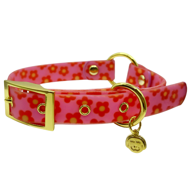 Wildflower - Splashproof Dog Collar