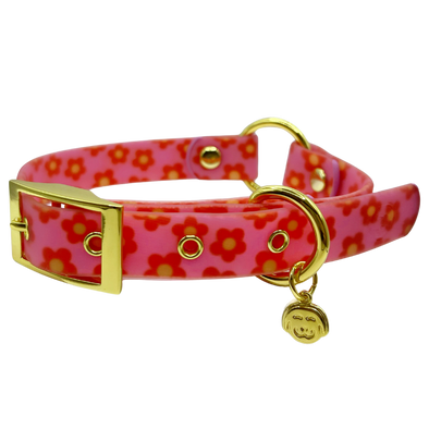 Wildflower - Splashproof Dog Collar