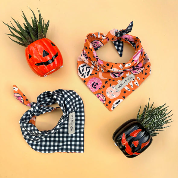 Pumpkin Star - Reversible Dog Bandana