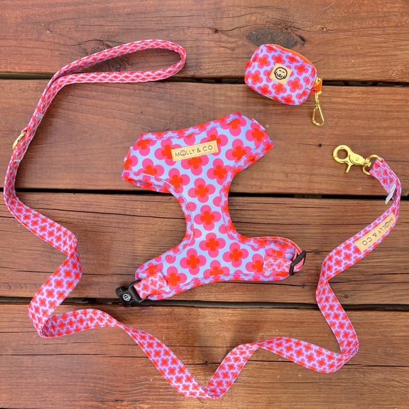 Venezia - Adjustable Dog Harness