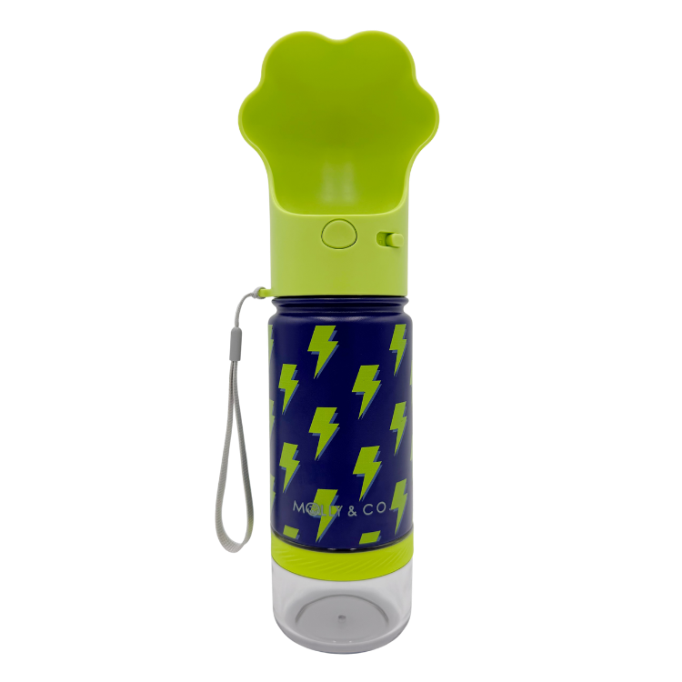 Bolt - Stainless Steel Water Bottle
